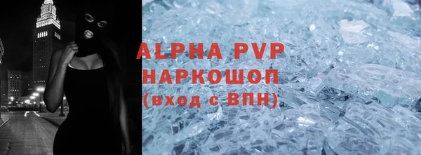 прущие грибы Михайлов