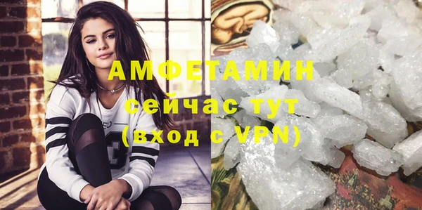 сатива Михайловка