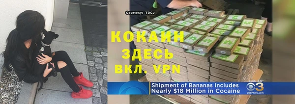 прущие грибы Михайлов