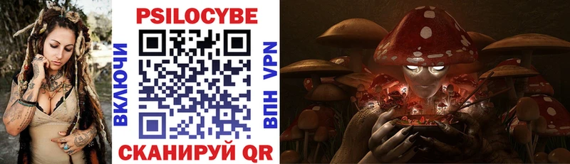 Псилоцибиновые грибы Psilocybine cubensis  наркота  Собинка 